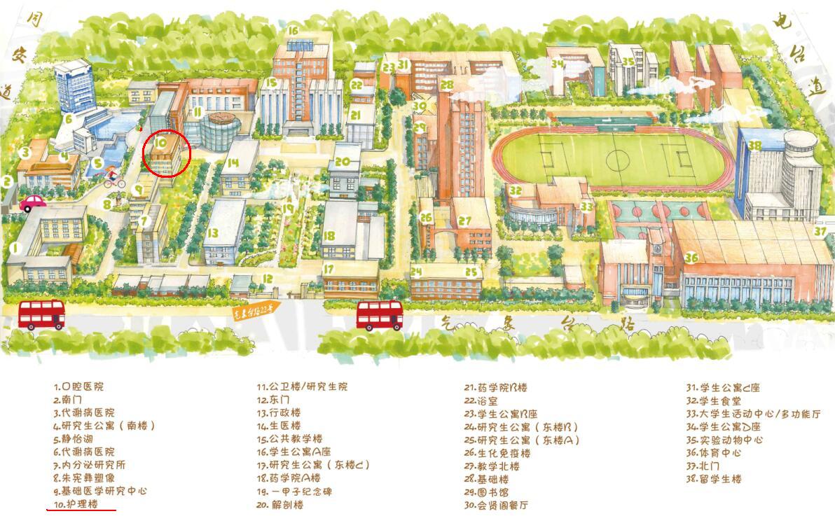 天津医科大学地图图片