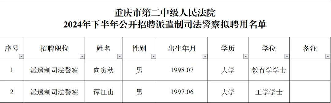 重庆警察.png