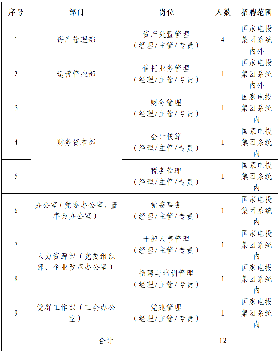 国家电投集团资本控股本部招聘公告