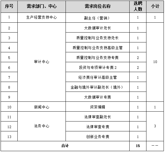 国家电投集团共享服务有限公司人员公开选聘公告(延续)