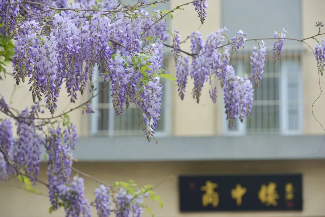 清华大学附属中学清华附中学院路学校诚聘英才