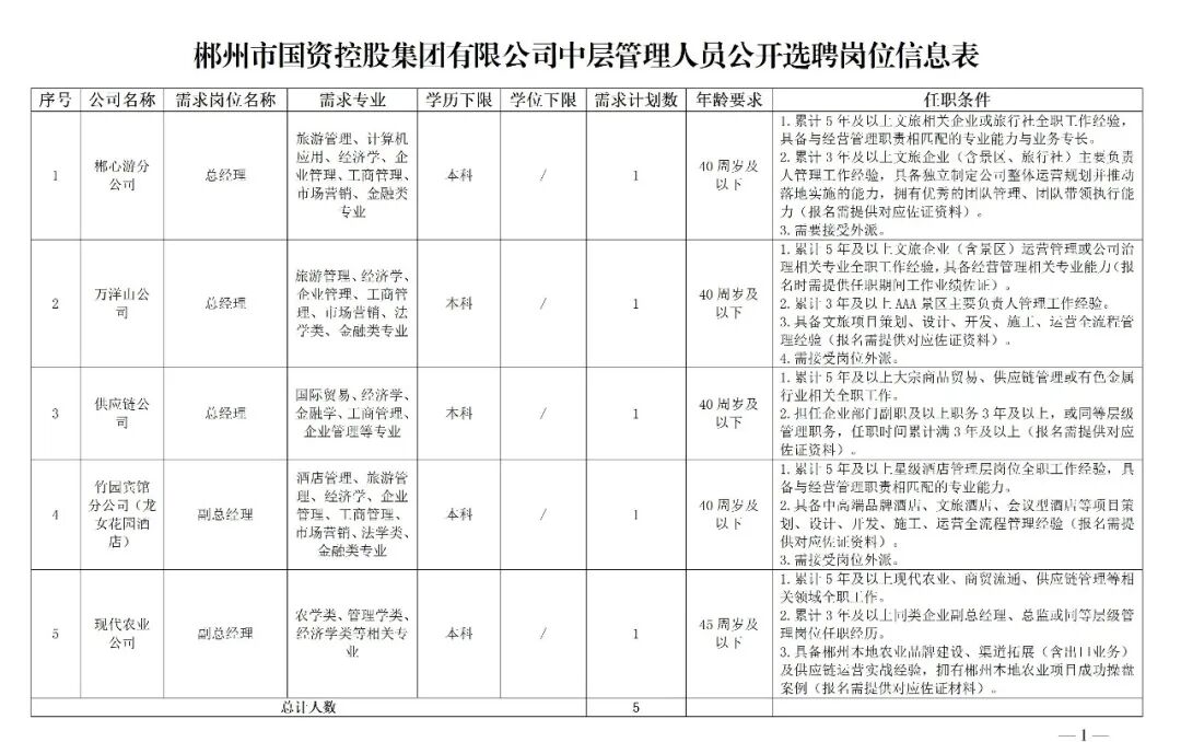 郴州市国资控股集团有限公司2026年中层管理人员公开选聘公告